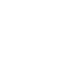 Holm